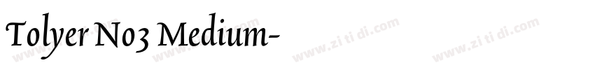 Tolyer No3 Medium字体转换